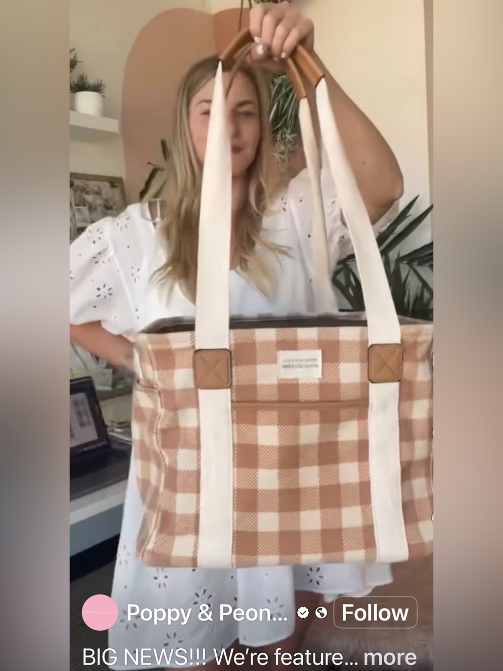 Poppy & Peonies Everyday Tote – Jilly Box Exclusive Caramel Gingham – New (Rare) - Picture 15 of 16